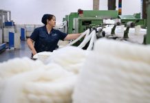 Cina: capitale del cashmere Qinghe esporta in oltre 30 Paesi e regioni (3)