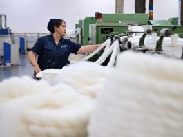 Cina: capitale del cashmere Qinghe esporta in oltre 30 Paesi e regioni (3)
