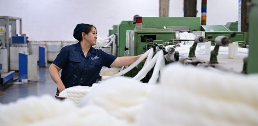 Cina: capitale del cashmere Qinghe esporta in oltre 30 Paesi e regioni (3)