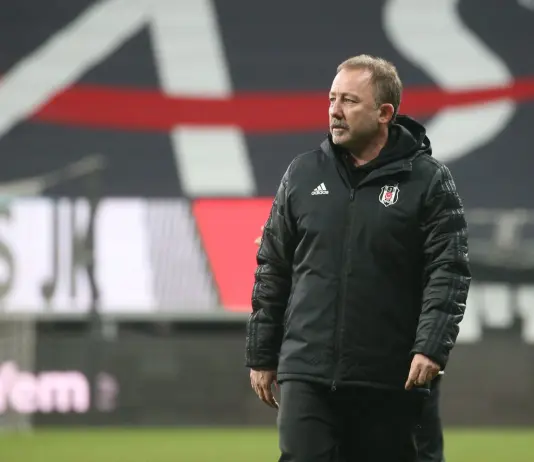 Yalcin appointed new head coach of Turkey’s national team