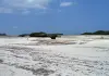 Cosa sono le maree bassa marea Watamu Kenya