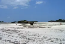 Cosa sono le maree bassa marea Watamu Kenya