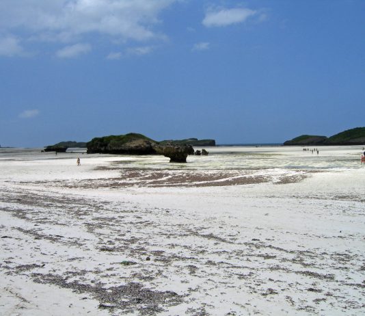 Cosa sono le maree bassa marea Watamu Kenya