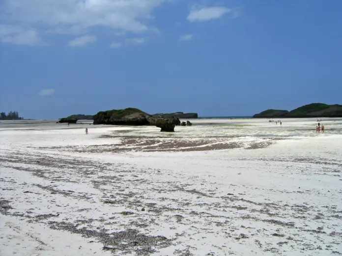 bassa marea Watamu Kenya