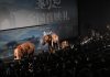 Cina: a Pechino la première del documentario “The Elephant Odyssey” (1)