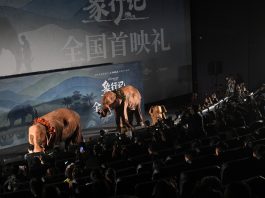 Cina: a Pechino la première del documentario “The Elephant Odyssey” (1)