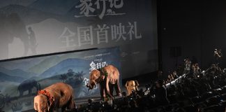 Cina: a Pechino la première del documentario “The Elephant Odyssey” (1)