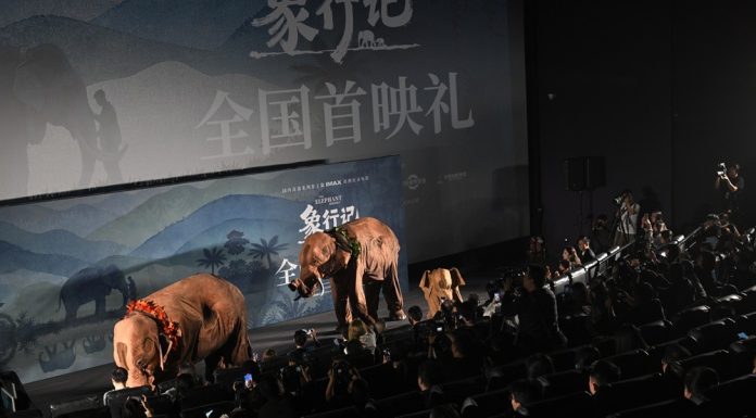 Cina: a Pechino la première del documentario “The Elephant Odyssey” (1)