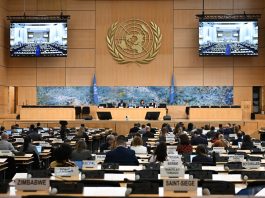 ONU: Consiglio dei diritti umani adotta risoluzione proposta dalla Cina sull’accessibilità per tutti