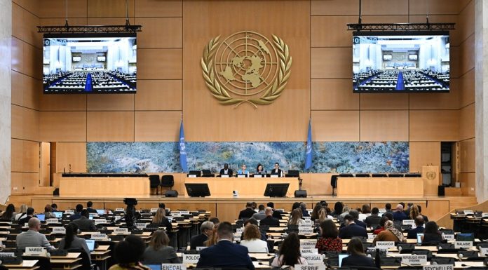 ONU: Consiglio dei diritti umani adotta risoluzione proposta dalla Cina sull’accessibilità per tutti