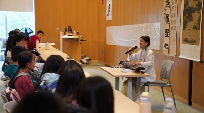 Cina: antichi caratteri e musica guqin portano la cultura cinese a New York (2)