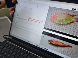 Cina: Hainan potenzia l’allevamento della tilapia tra selezione e digitale (3)