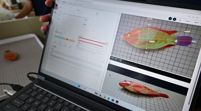 Cina: Hainan potenzia l’allevamento della tilapia tra selezione e digitale (3)