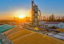 Cina: Heilongjiang intensifica attività di gestione di cereali post-raccolto (2)