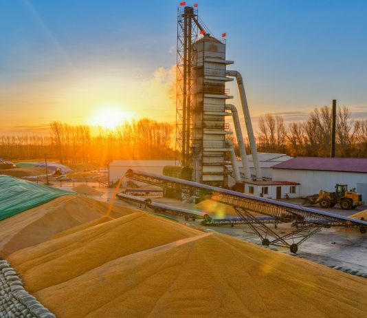 Cina: Heilongjiang intensifica attività di gestione di cereali post-raccolto (2)