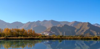 Cina: paesaggi d’autunno nelle zone umide di Lhalu a Lhasa (2)
