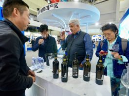 Cina: Yinchuan ospita fiera internazionale su cultura e turismo del vino (1)
