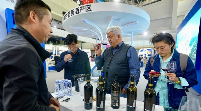 Cina: Yinchuan ospita fiera internazionale su cultura e turismo del vino (1)