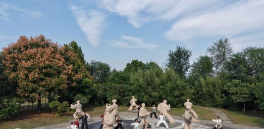Cina: trend del “Chinamaxxing” a Chenjiagou, stranieri praticano taijiquan (4)