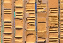 Cina: Heilongjiang intensifica attività di gestione di cereali post-raccolto (3)
