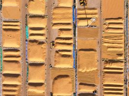 Cina: Heilongjiang intensifica attività di gestione di cereali post-raccolto (3)
