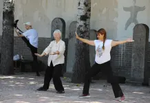 Cina: trend del “Chinamaxxing” a Chenjiagou, stranieri praticano taijiquan (5)