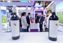 Cina: Yinchuan ospita fiera internazionale su cultura e turismo del vino (3)