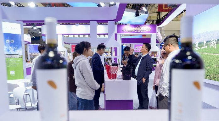 Cina: Yinchuan ospita fiera internazionale su cultura e turismo del vino (3)