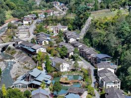 Cina: Baoxing punta sui panda per sviluppare l’ecoturismo (2)