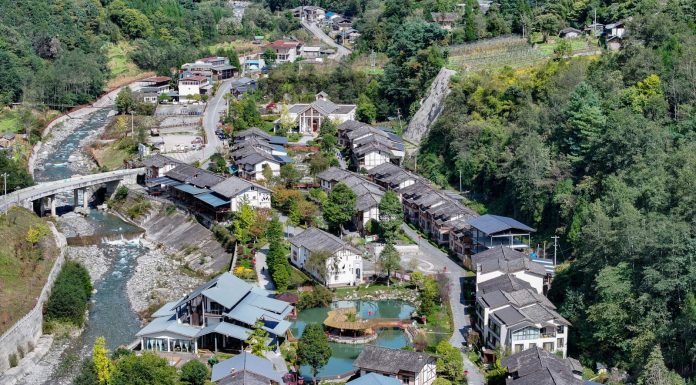 Cina: Baoxing punta sui panda per sviluppare l’ecoturismo (2)