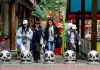 Cina: Baoxing punta sui panda per sviluppare l’ecoturismo (3)