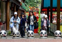 Cina: Baoxing punta sui panda per sviluppare l’ecoturismo (3)
