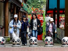 Cina: Baoxing punta sui panda per sviluppare l’ecoturismo (3)