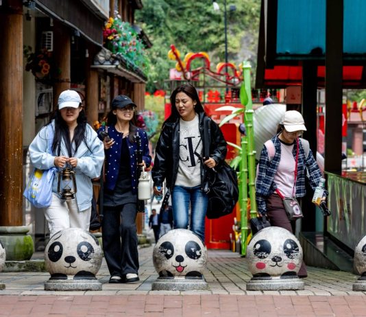 Cina: Baoxing punta sui panda per sviluppare l’ecoturismo (3)
