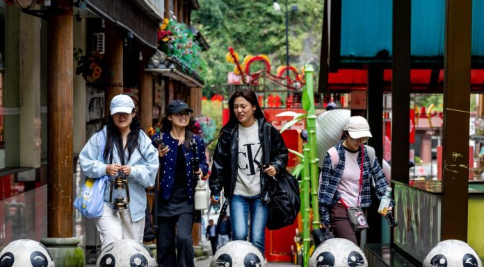Cina: Baoxing punta sui panda per sviluppare l’ecoturismo (3)