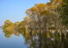 Cina: nello Xinjiang tutela degli ecosistemi e della biodiversità (1)