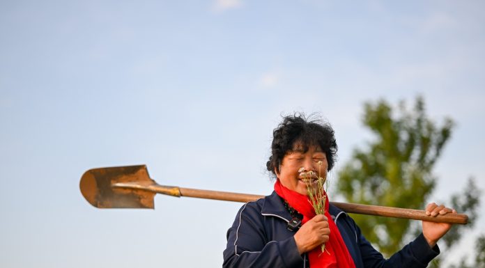 Esperta cinese di lotta alla desertificazione invita a unirsi per il pianeta