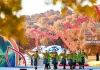 Cina: Mongolia Interna, al via stagione di turismo culturale dedicato agli aceri (1)