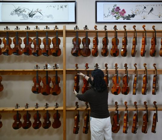 Cina: i violini della contea di Queshan raggiungono tutto il mondo