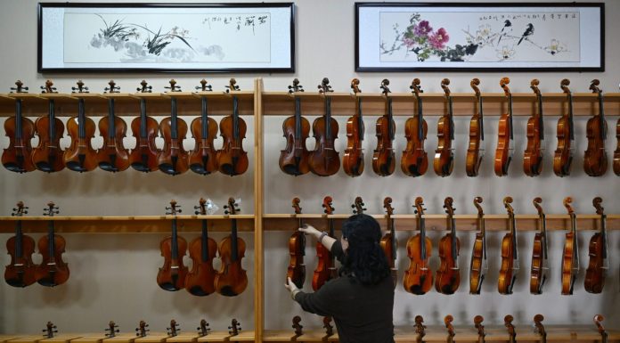 Cina: i violini della contea di Queshan raggiungono tutto il mondo
