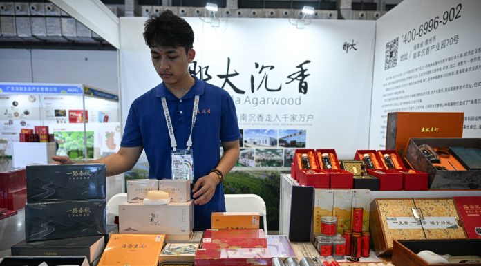 Cina: al via a Haikou la China Brands Export Expo (2)