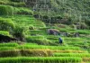 Cina: villaggio di Longji integra patrimonio culturale e turismo (1)