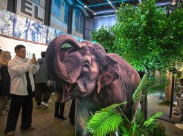 Cina: a Pechino la première del documentario “The Elephant Odyssey” (2)