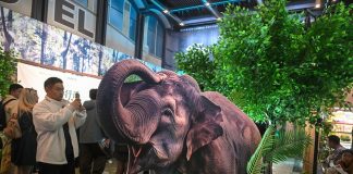 Cina: a Pechino la première del documentario “The Elephant Odyssey” (2)