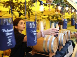 A Marino la Sagra dell’Uva 2026 (1)