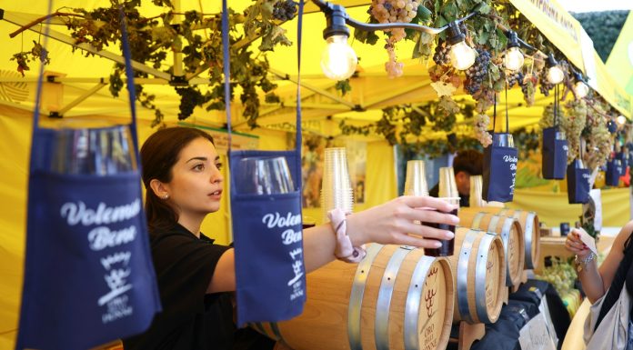 A Marino la Sagra dell’Uva 2026 (1)