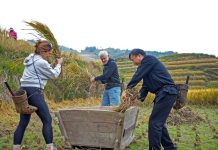 Cina: villaggio di Longji integra patrimonio culturale e turismo (3)