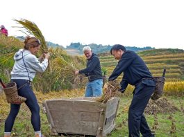 Cina: villaggio di Longji integra patrimonio culturale e turismo (3)
