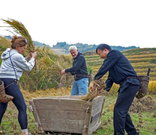 Cina: villaggio di Longji integra patrimonio culturale e turismo (3)