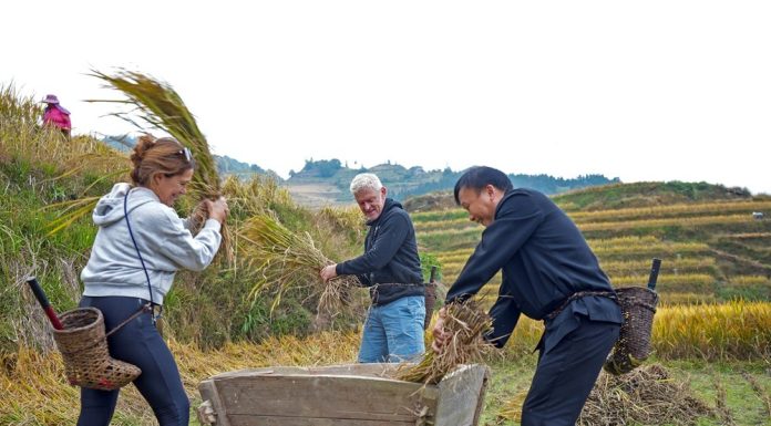 Cina: villaggio di Longji integra patrimonio culturale e turismo (3)